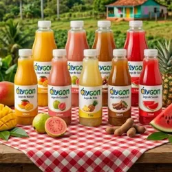 Jugo de Piña Natural 500ml