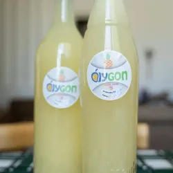 Jugo de Piña Natural 700ml