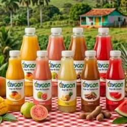 Limonada Natural 1000ml