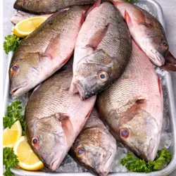 Pescado Fresco Entero Premium 🐟✨LB