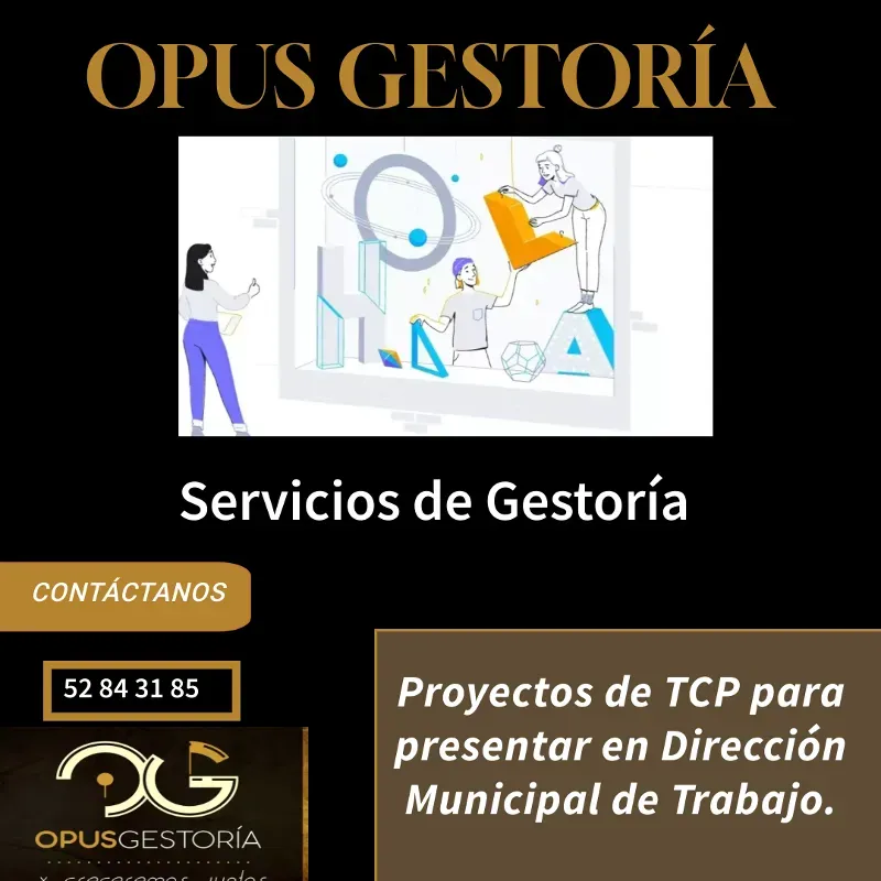 Proyectos de Trabajo