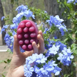 Jabón de vino tinto, rosas y canela (limitado)