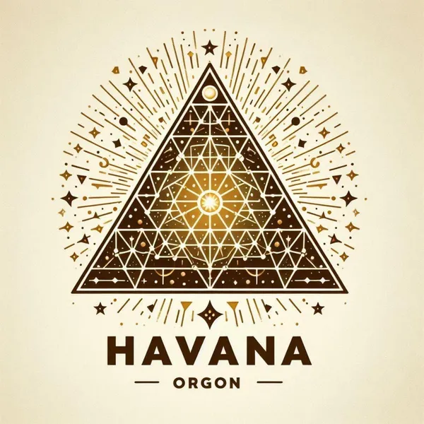 Las orgonitas son piezas hechas con resina, metales y cuarzos. Son potentes transmutadoras de la energía vital (ORGON). Son herramientas que acompañan y ayudan a elevar la vibración de espacios, personas, plantas y animales. 
Funcionan armonizado la energía vital independientemente de que se crea en ellas o no. Emiten un plasma beneficios que actuará por siglos y siglos mientras se mantenga intacta. 
Cómo funciona?
💫  La orgonita es un compuesto de tres elementos físicos más uno.
💫  La resina de Poliester es la amalgama que atrae el orgon circundante y ejerce al curarse la presión necesaria sobre el cuarzo, para que esté se active.
💫 Cuarzos: Con su cualidad piezolectrica es el que genera el orgon positivo y es estimulado por la presión que ejerce la resina de Poliester curada sobre el mismo.
💫 Virutas de metal: ataren y luego repelen el Orgon, positivo y negativo. Esto hace que el cuarzo se sature y expulse esa misma energía de manera ordenada=orgon positivo.
💫Esto a su vez crea un movimiento toroidal/ energético que no se agota nunca. es como un dinamo infinito.
💫Para más información puedes visitar mi página de Instagram 
@orgonhavana
💫  Cada orgonita es única y está hecha con las mejores intenciones para ti.❤️❤️
💫💫💫ORGONiZATE💫💫💫
