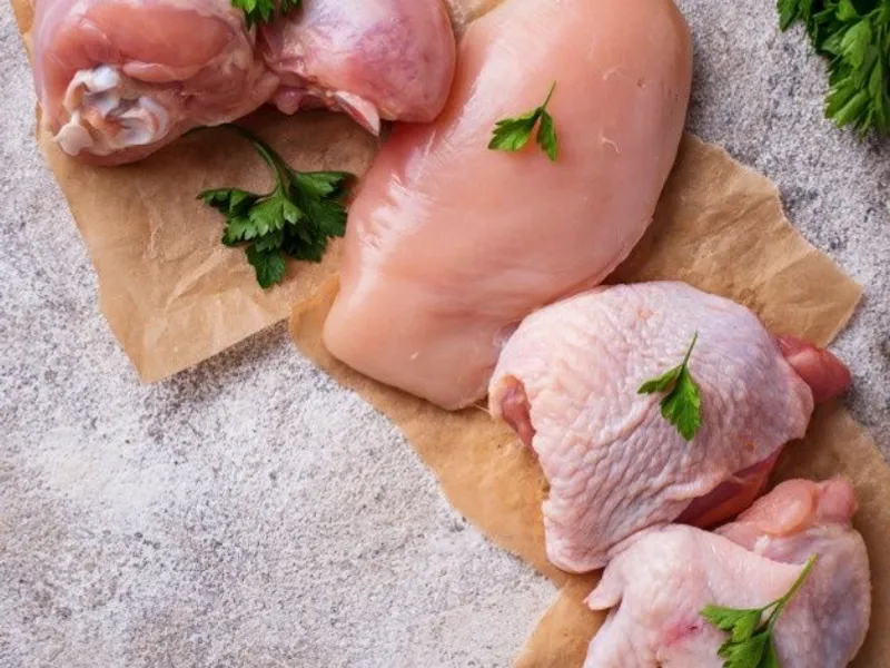 Pollo 