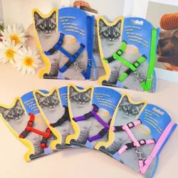 Arnés y correa para gatos