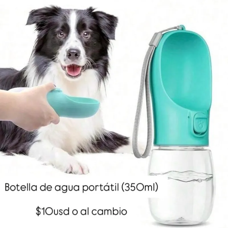 Botella de agua portátil (350ml) Azul