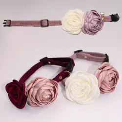 Collar para gato | perro