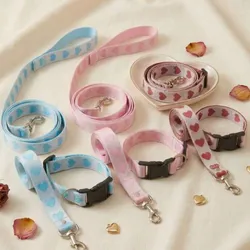 Collar y correa