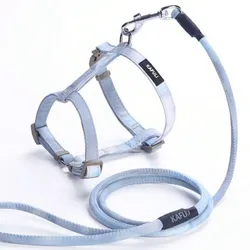 Conjunto de arnés y correa (mascotas pequeñas)