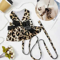 Conjunto de arnés y correa