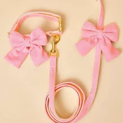 Conjunto de collar y correa con lazo