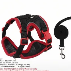 Set de pechera y correa (perros chiquitos)