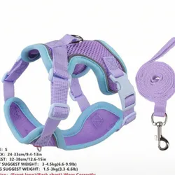 Set de pechera y correa (perros chiquitos)