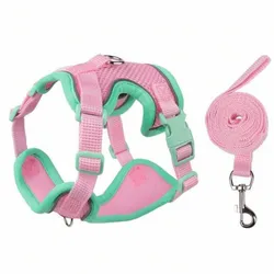 Set de pechera y correa (perros chiquitos)