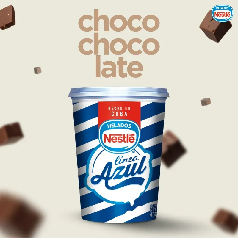 Pote de Helado Nestle Chocolate (450 ML)