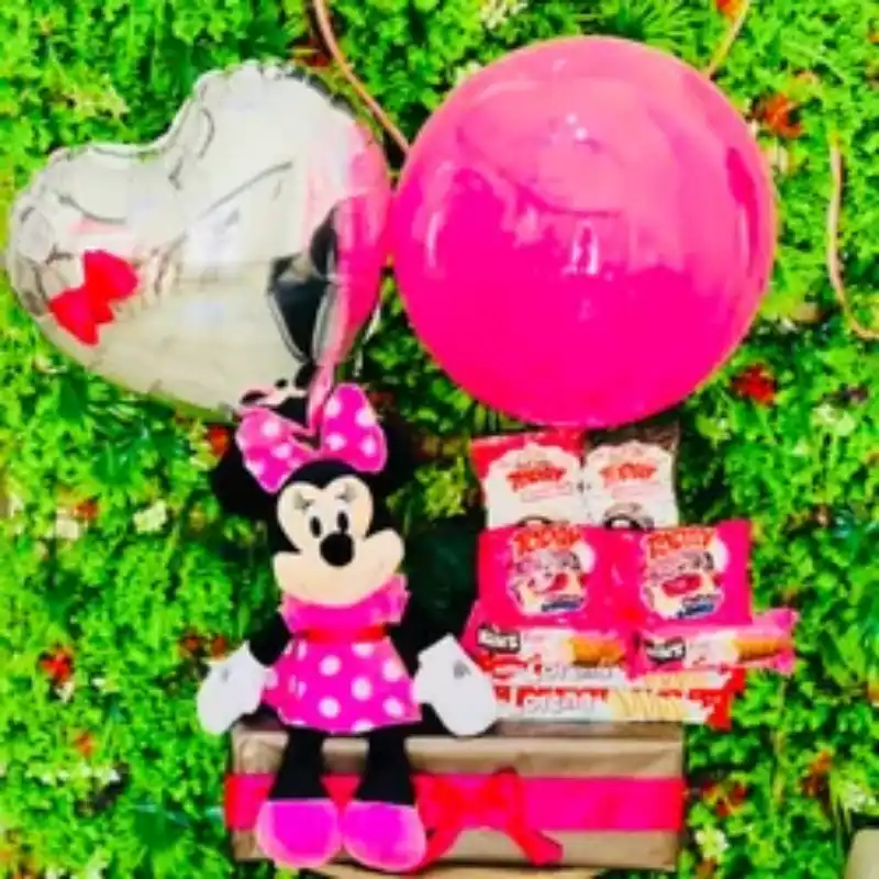 CHUCHES MINNIE