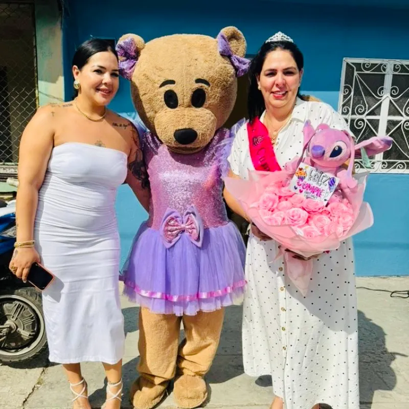ROSAS ETERNAS CON STITCH
