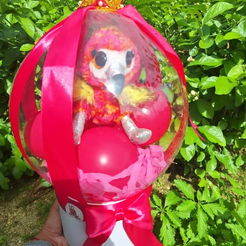 Cesta de regalo con peluche (color y peluche varia)