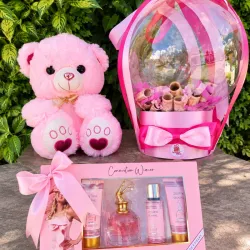 Combo de peluche,cesta de globo con dinero y set de perfumería(varia)💗💗💗