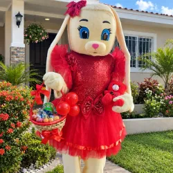Conejita adorable traje rojo❤️❤️❤️