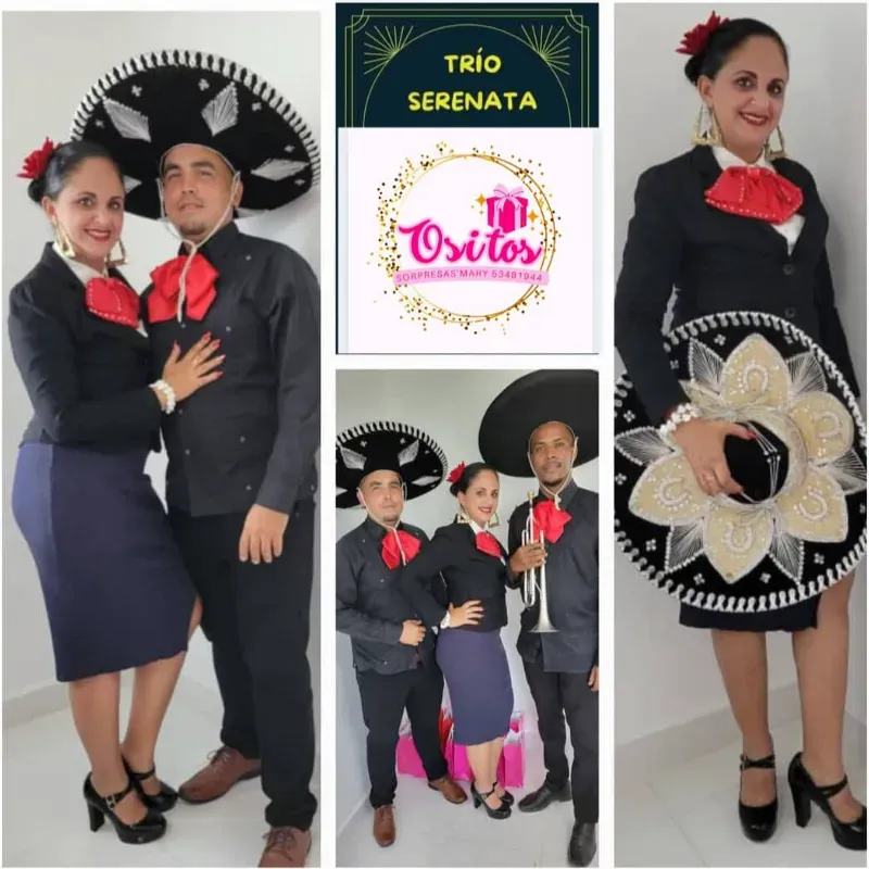 Servicio con MARIACHIS