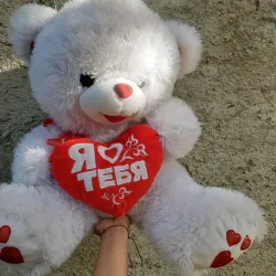 Oso gigante 