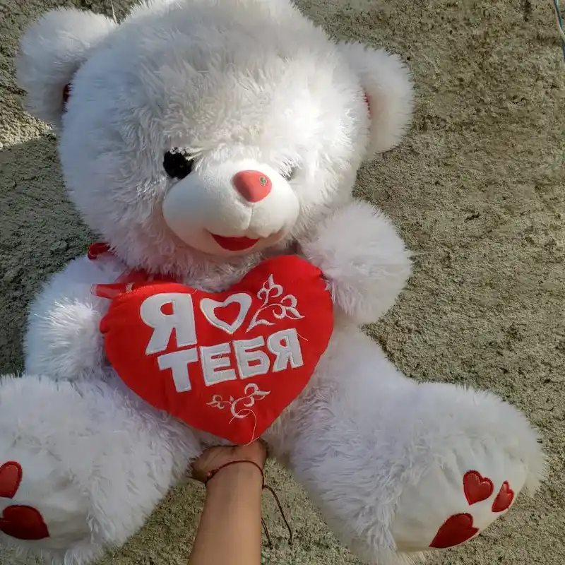 Oso gigante 