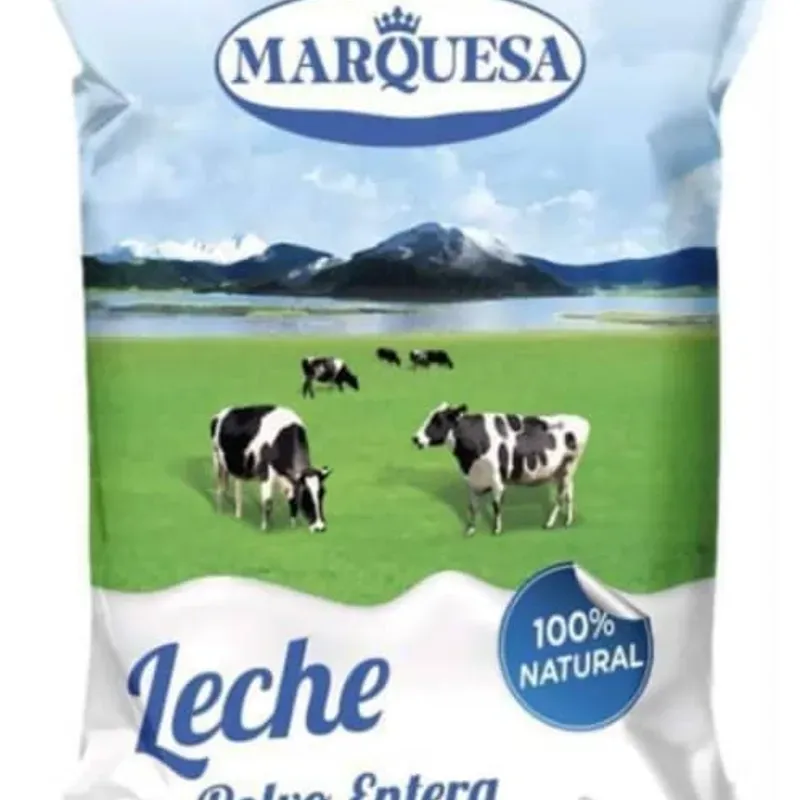 Leche en polvo 