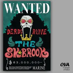 💀 Cartel Brook (One Piece)