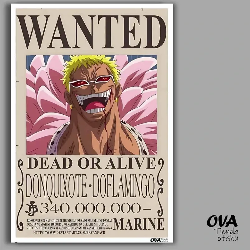 🦩 Cartel Donquixote Doflamingo (One Piece)
