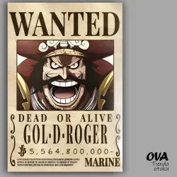 👑 Cartel Gol D Roger (One Piece)