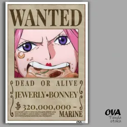 💎 Cartel Jewelry Bonney (One Piece)