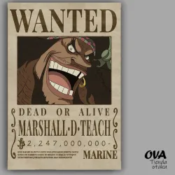 🧔🏾Cartel Marshall D Teach/ Barba negra (One Piece)