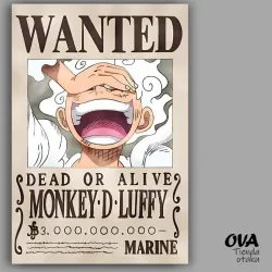 🏴‍☠️ Cartel Monkey D Luffy (One Piece)