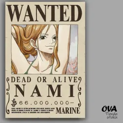 🤑 Cartel Nami (One Piece)