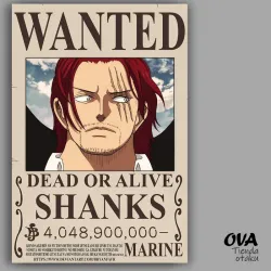 💪🏼 Cartel Shanks (One Piece)