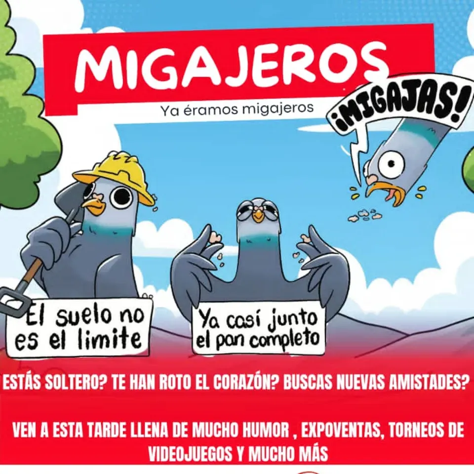 🕊️🍞 Festival migajeros en Vitrina de Valonia