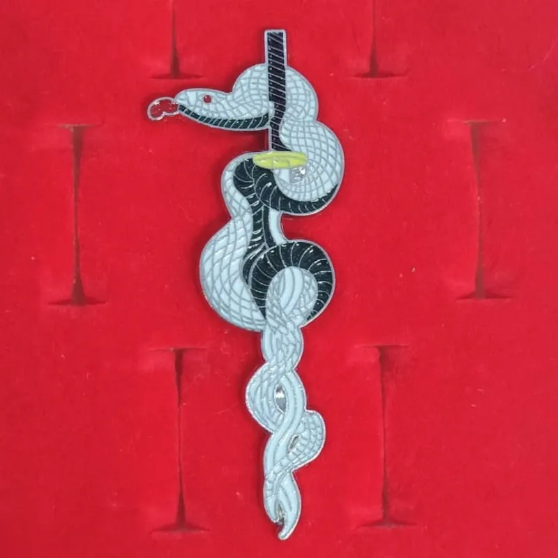 🐍 Pin katana Obanai (Kimetsu no Yaiba)