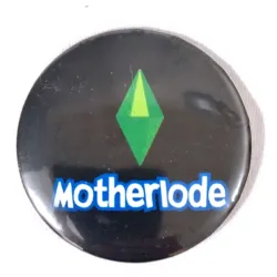 💸 Pin Motherlode (The Sims)