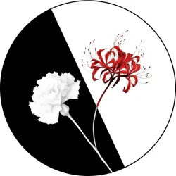 👁️‍🗨️ Pin Tokyo Ghoul 