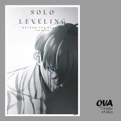 🔪 Póster Solo leveling/ Beyond the system