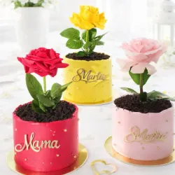 Mini cake maceta