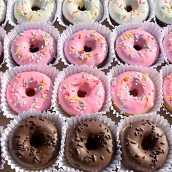 Mini donas (12)