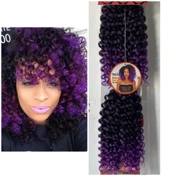 Bahama Curl BT1B/Purple
