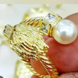 Anillo