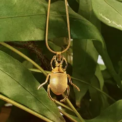 Cadena dorada de Escarabajo