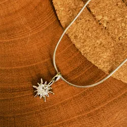 Cadena plateada con dije de brillo