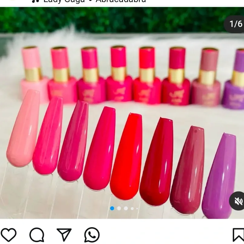 Esmaltes JR de 15ml
