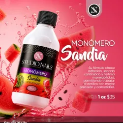 Monómero Studio Nails (secado lento)8onzas