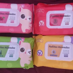 Toallitas Húmedas 
